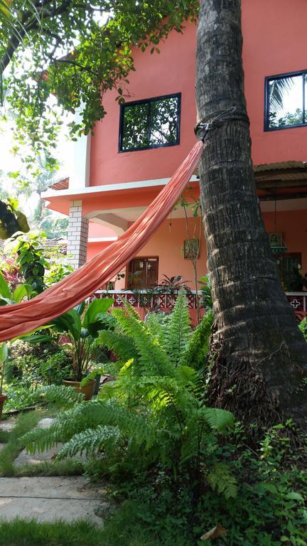 Cozy Dream Apartment 안주나 객실 사진