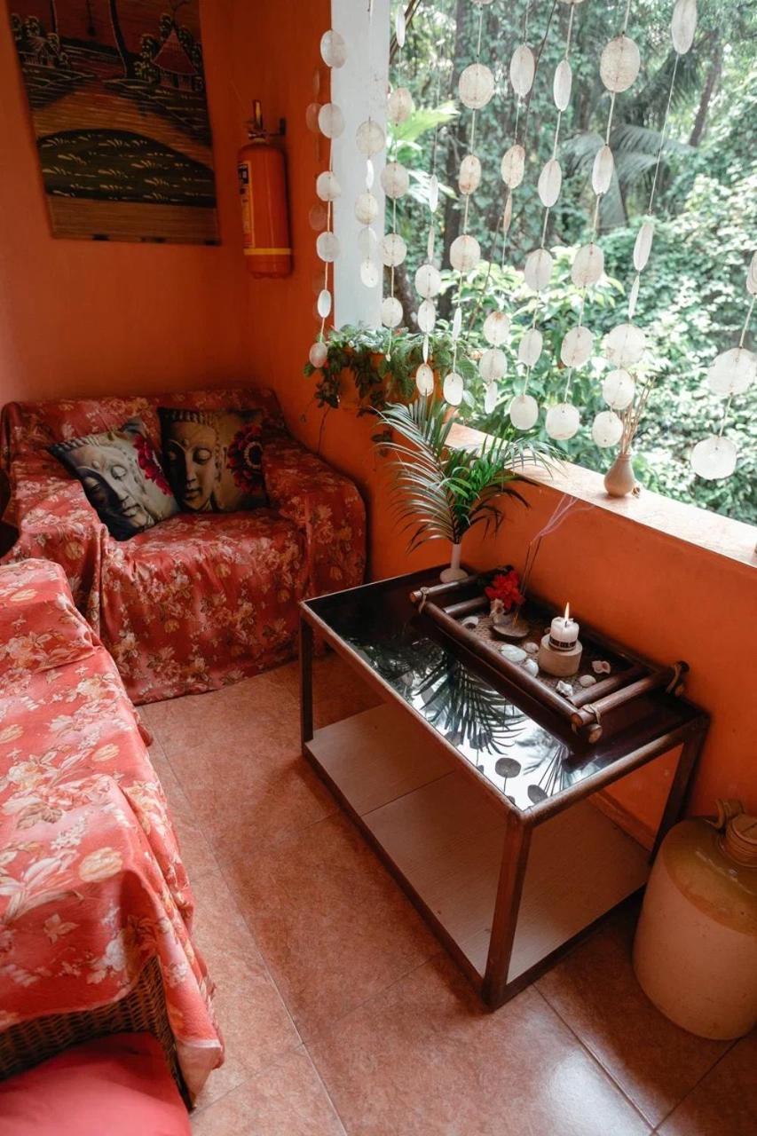 Cozy Dream Apartment 안주나 외부 사진