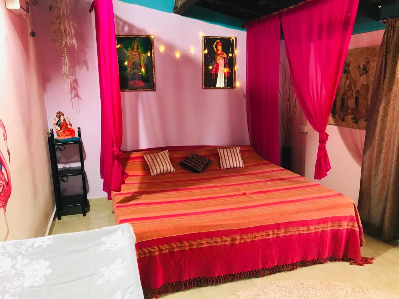 Cozy Dream Apartment 안주나 외부 사진